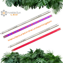 F Bar Pro and SL80 2 pack Bundle - Powered by Samsung LED